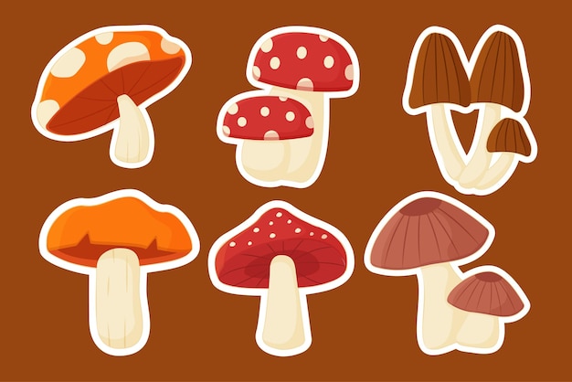 Set di vari funghi disegno vettoriale in stile cartone animato