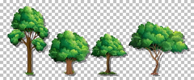 Insieme di vari alberi su sfondo trasparente
