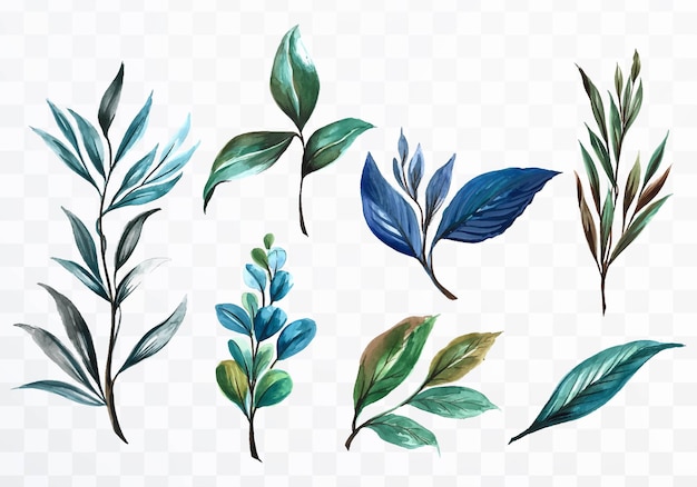 Set of various watercolor leaf on transparent background