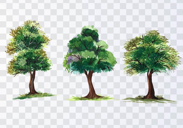 Free vector set of various watercolor trees on transparent background