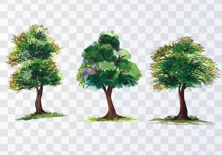 Free Vector set of various watercolor trees on transparent background