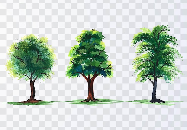 Set of various watercolor trees on transparent background