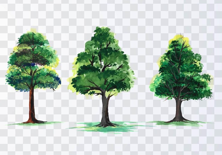 Free Vector set of various watercolor trees on transparent background