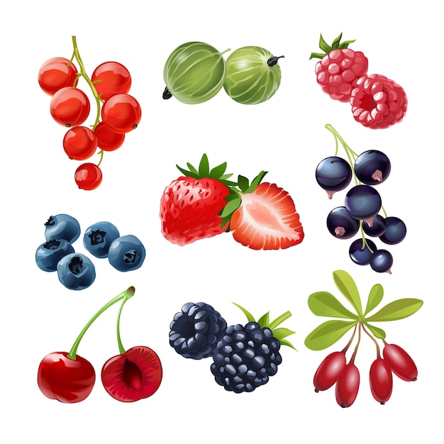 Набор векторных иконок сочных спелых ягод