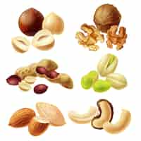 Free vector set vector icons of nuts