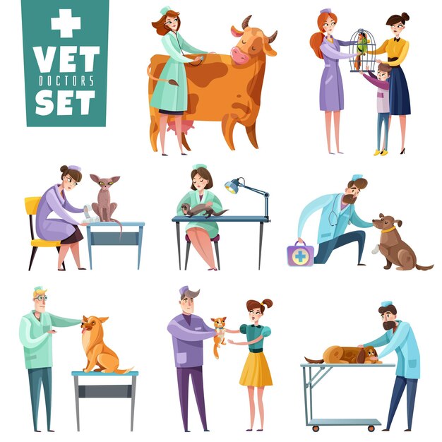 Set of vet doctors during professional examination of pets and farm animals isolated