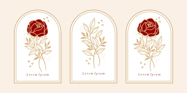 Set of vintage botanical rose flower and leaf branch element for feminine logo and beauty brand