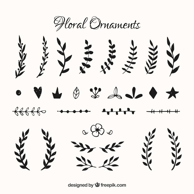 Download Leaf Images | Free Vectors, Stock Photos & PSD