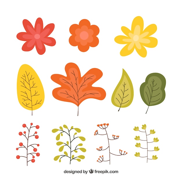 Free vector set of vintage flowers and autumn plants