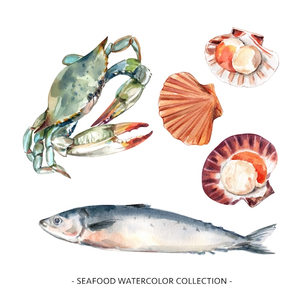 Free vector set of watercolor blue crab, shell, mackerel illustration for decorative use.