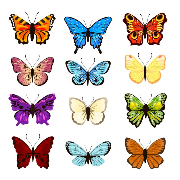 Set of watercolor butterflies. Vector illustrations of insects with different patterns on wings. Cartoon collection of silhouettes with flying butterflies isolated on white. Nature, tattoo concept