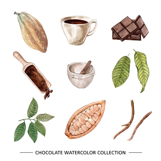 Vettore gratuito insieme dell'illustrazione del cioccolato dell'acquerello di su fondo bianco.