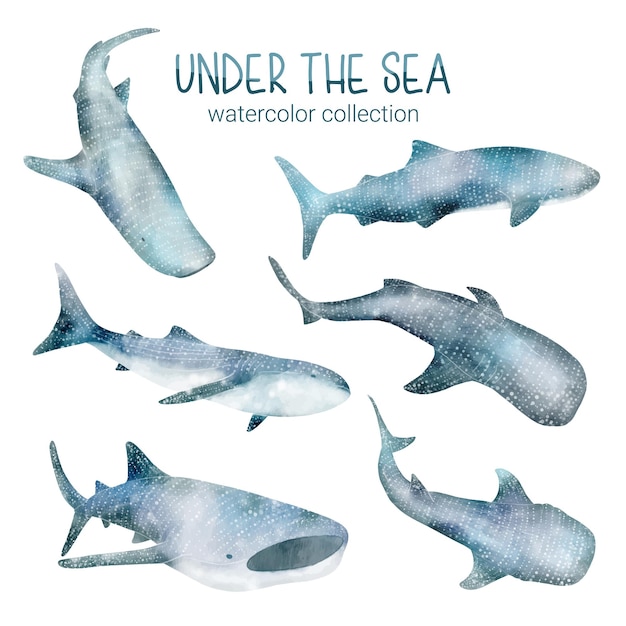 Free vector set of watercolor cute animal and plant marine life under sea vector illustration