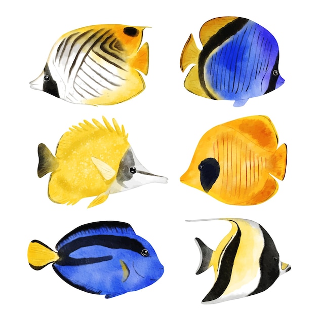 Free vector set of watercolor cute animal and plant marine life under sea vector illustration