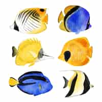 Free vector set of watercolor cute animal and plant marine life under sea vector illustration