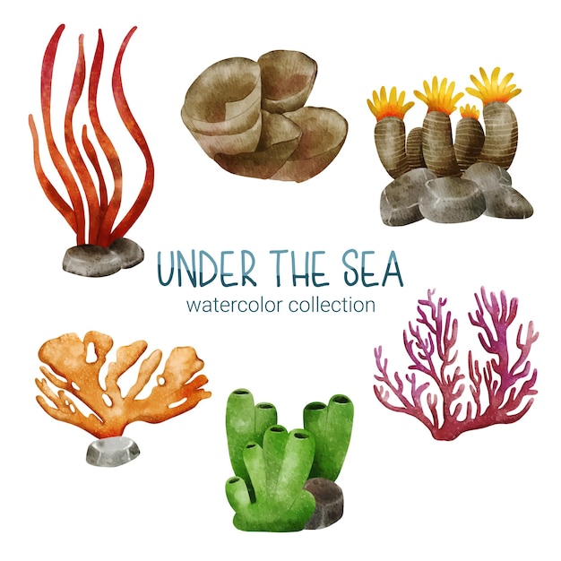 Free vector set of watercolor cute animal and plant marine life under sea vector illustration