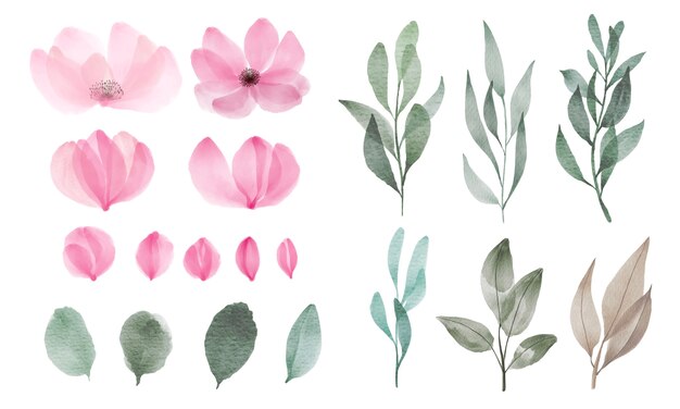 Set of watercolor flower and leaf for greeting and invitation card decoration.