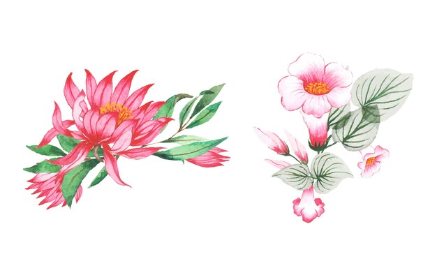 Set of watercolor flower and leaf