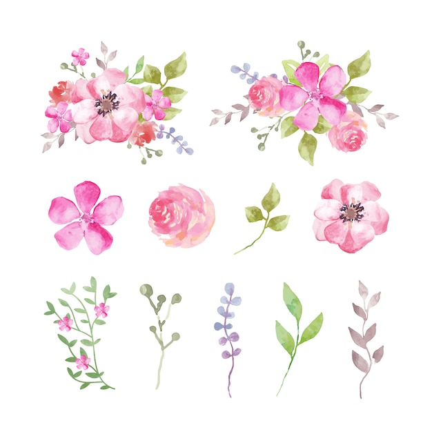 Set of watercolor flowers and leaves in pinkish tones