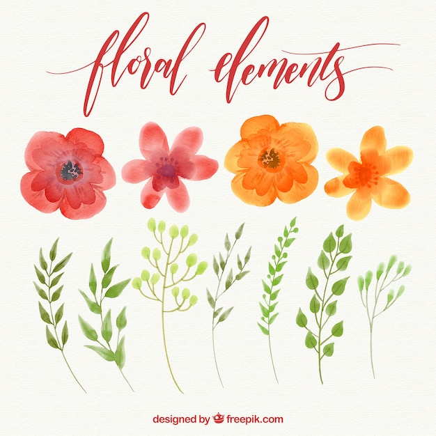 Set of watercolor flowers with leaves