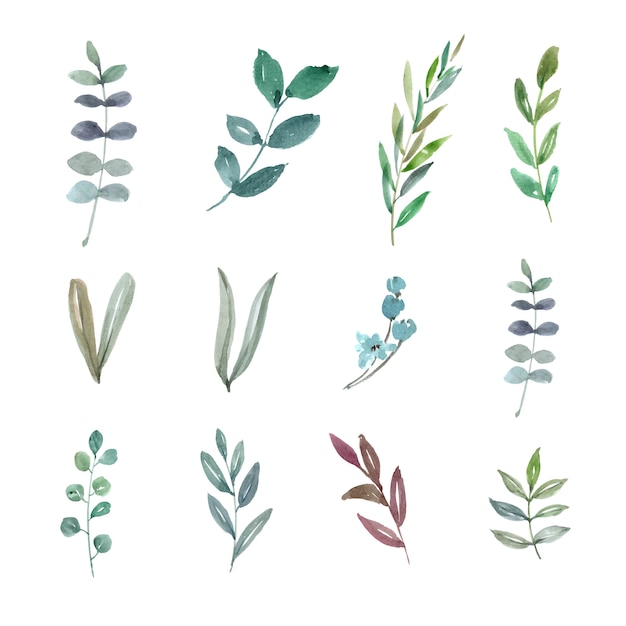 Free vector set of watercolor foliage, hand-drawn illustration of elements isolated