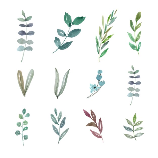 Set of watercolor foliage, hand-drawn illustration of elements isolated