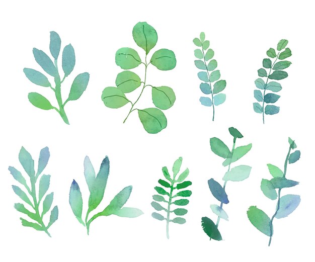 Set of watercolor leaves