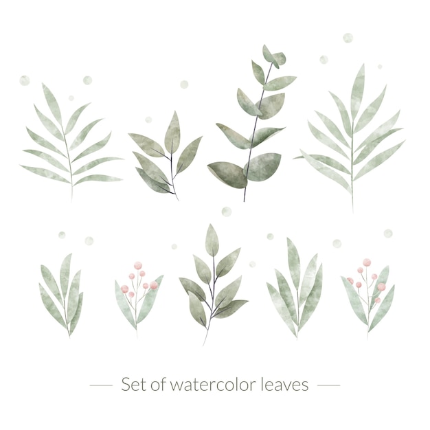 Free vector set of watercolor leaves