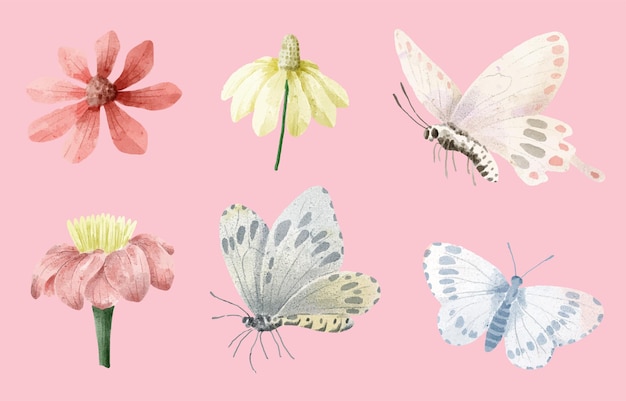 Free vector set of watercolor painting of butterfly and flower