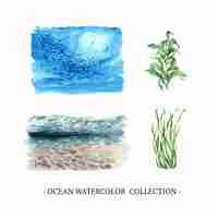 Free vector set of watercolor under the sea, kelp