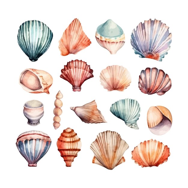 Set of watercolor Seashells on isolated illustration sea clipart