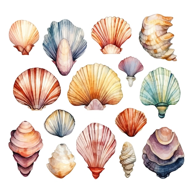 Набор акварельных ракушек на изолированной иллюстрации морского клипарта