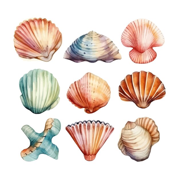 Set of watercolor Seashells on isolated illustration sea clipart