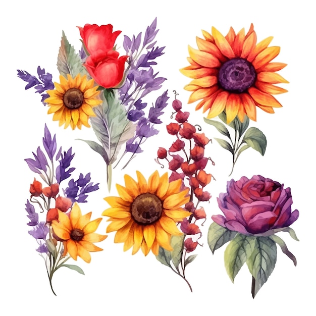 Set of watercolor sunflower lavender red anemones colorful flowers