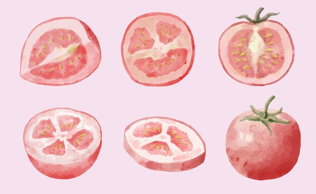 Set of watercolor tomatoes
