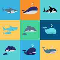 Free vector set of whales, dolphins and sharks