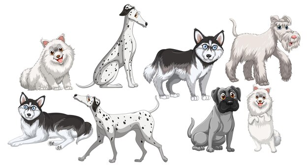 Set of white dogs in different breeds on white background