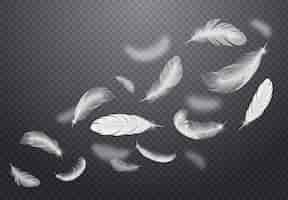 Free vector set of white falling bird feathers on dark transparent  in realistic style  illustration