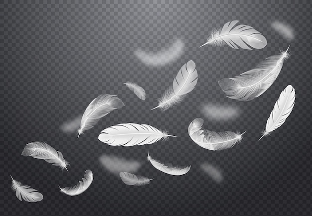 Set of white falling bird feathers on dark transparent  in realistic style  illustration
