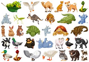Free vector set of wild animal illustrations