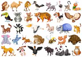 Free vector set of wild animal