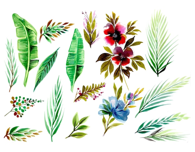 Free vector set with floral elements and leaves watercolor design