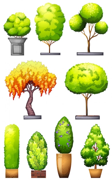 Free vector sets of decorative plants on a white background