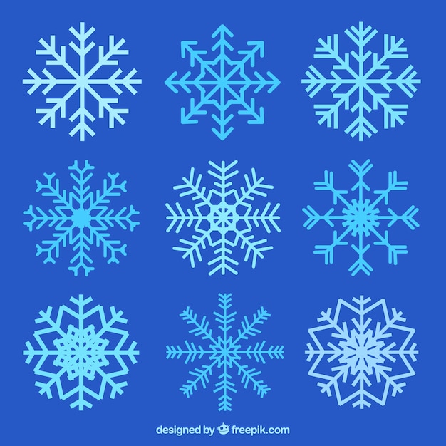 Several abstract snowflakes