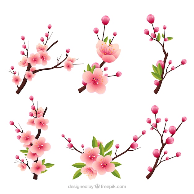 Several blooming branches in realistic style