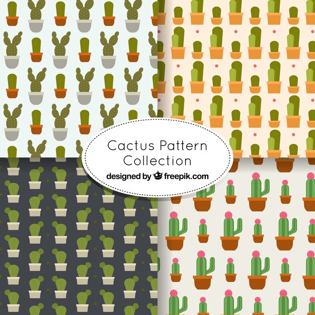 Several cactus patterns in flat design