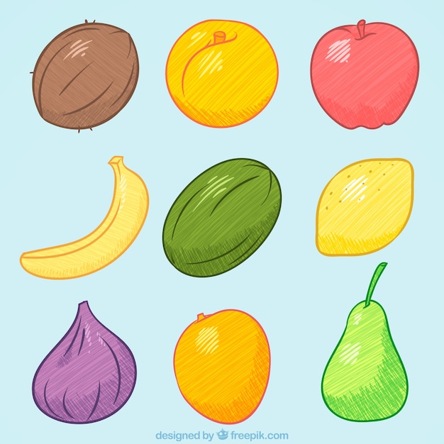 Free vector several colored tasty fruits