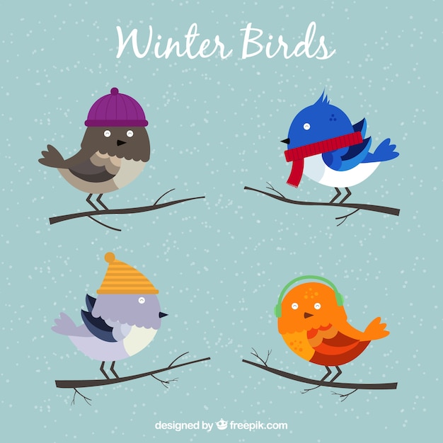 Several cute birds ready for winter