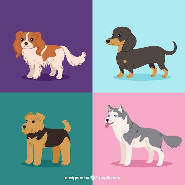 Free vector several cute dogs