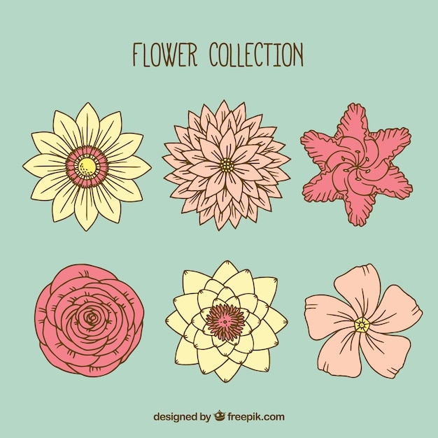 Cute Flower Stickers Images - Free Download on Freepik